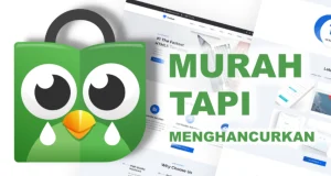 Pengalaman Buruk Memesan Jasa Web Tokopedia seharga Rp. 500 Ribu