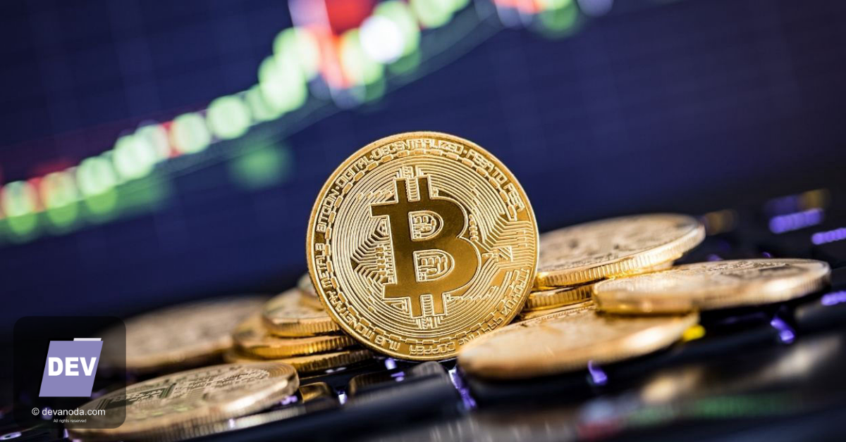 Jasa Pembuatan Website Bitcoin, Web Bitcoin