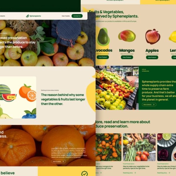 16.Buah Dan Sayur 2