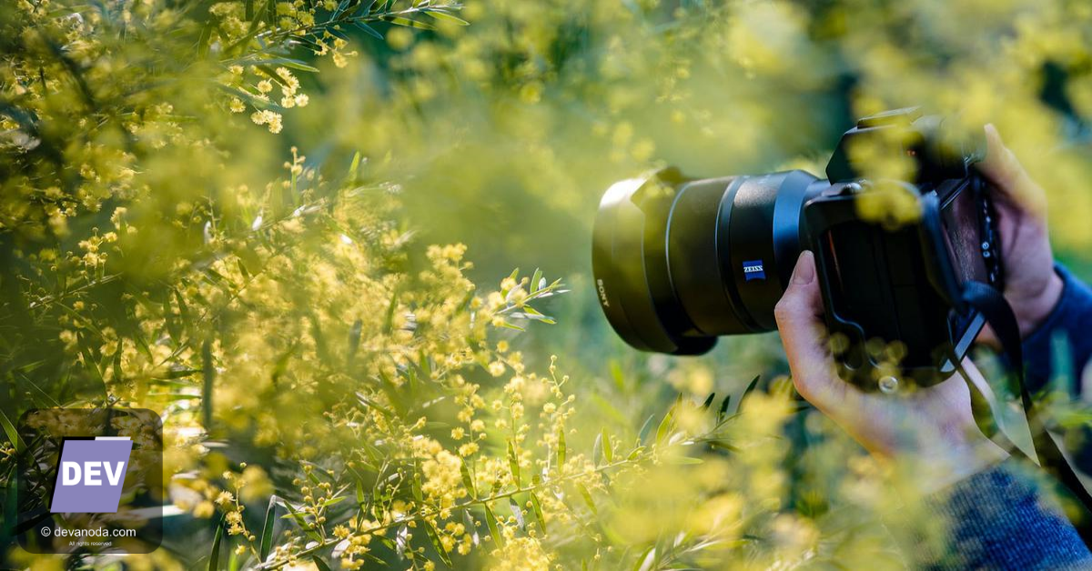Read more about the article Jasa Pembuatan Website Fotografi Terbaik di 2023