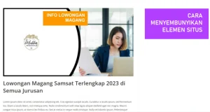 Cara Menyembunyikan Header, Sidebar, dll, di WordPress