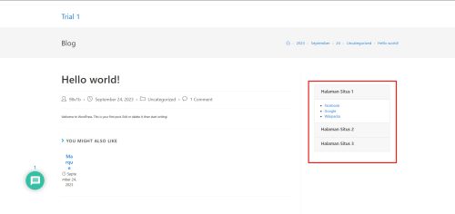 Tampilan hasil accordion di WordPress