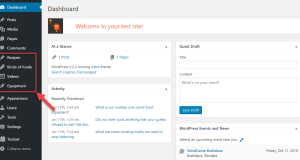 Cara Memindahkan Custom Post Type ke Situs lain di WordPress